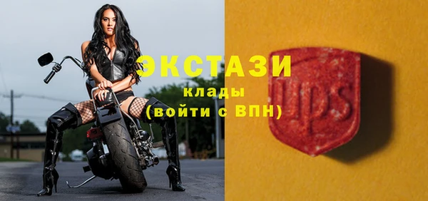 дживик Няндома