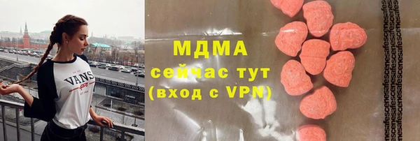 дживик Няндома