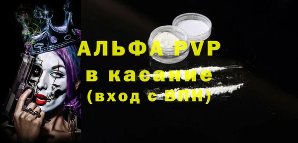 дживик Няндома