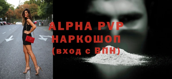 дживик Няндома