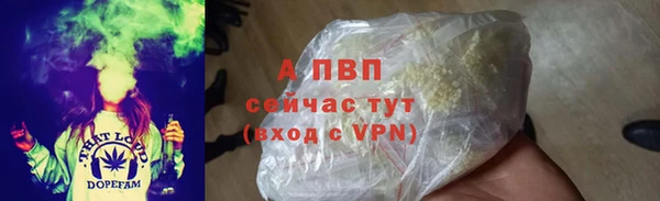 дживик Няндома