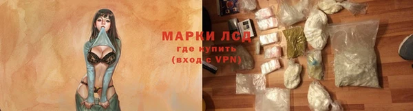 дживик Няндома