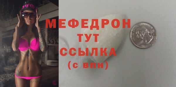 дживик Няндома