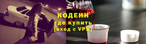 дживик Няндома