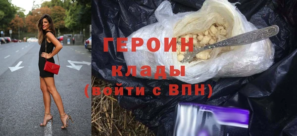 дживик Няндома