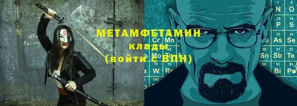 дживик Няндома