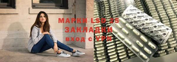 дживик Няндома