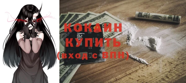 дживик Няндома