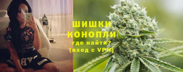 дживик Няндома