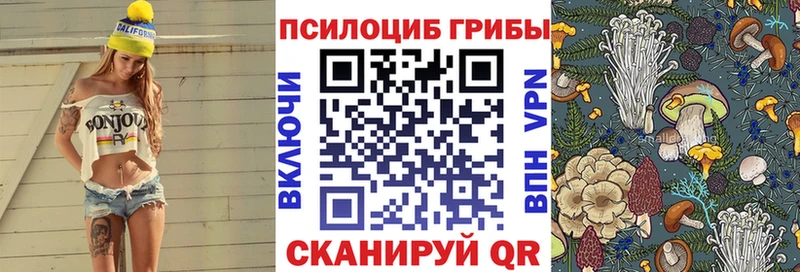 Псилоцибиновые грибы Magic Shrooms  где купить   Слюдянка 